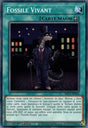 Fossile Vivant - BLC1-FR104