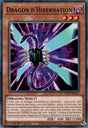 Dragon d'Hibernation - BLC1-FR113