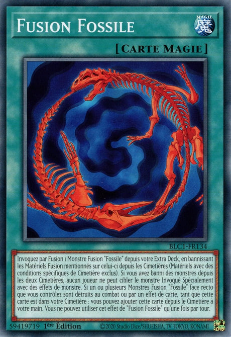 Fusion Fossile - BLC1-FR134