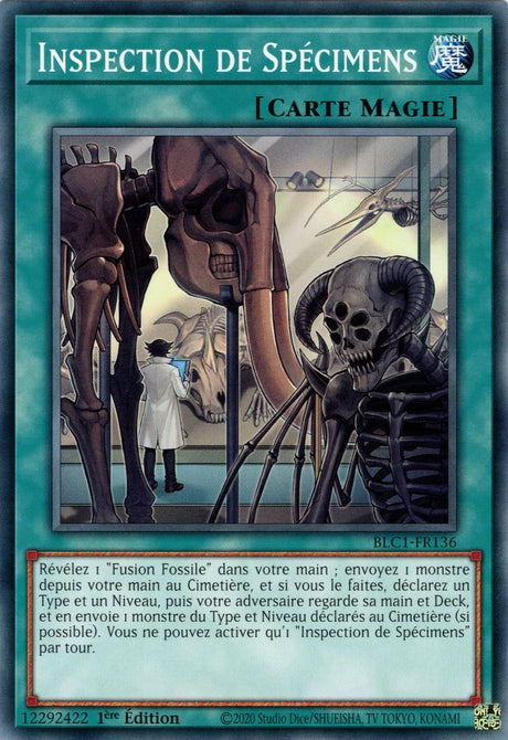 Inspection de Spécimens - BLC1-FR136