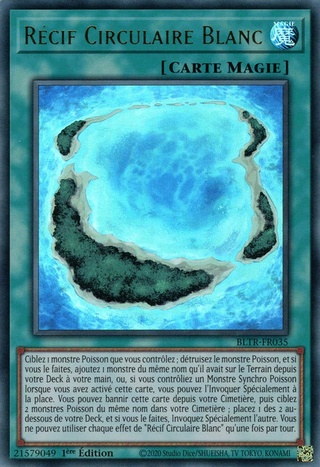 Récif Circulaire Blanc - BLTR-FR035