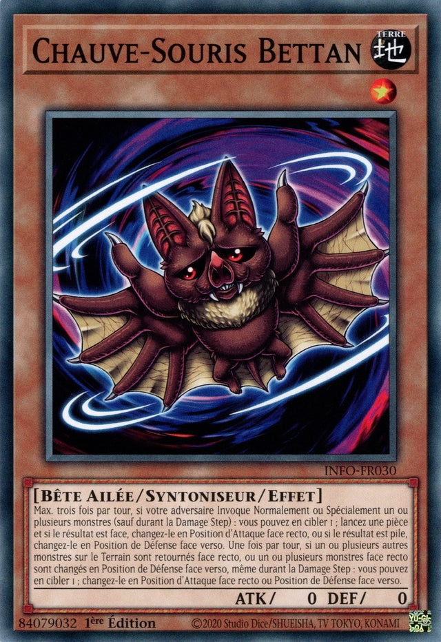 Chauve-Souris Bettan - INFO-FR030