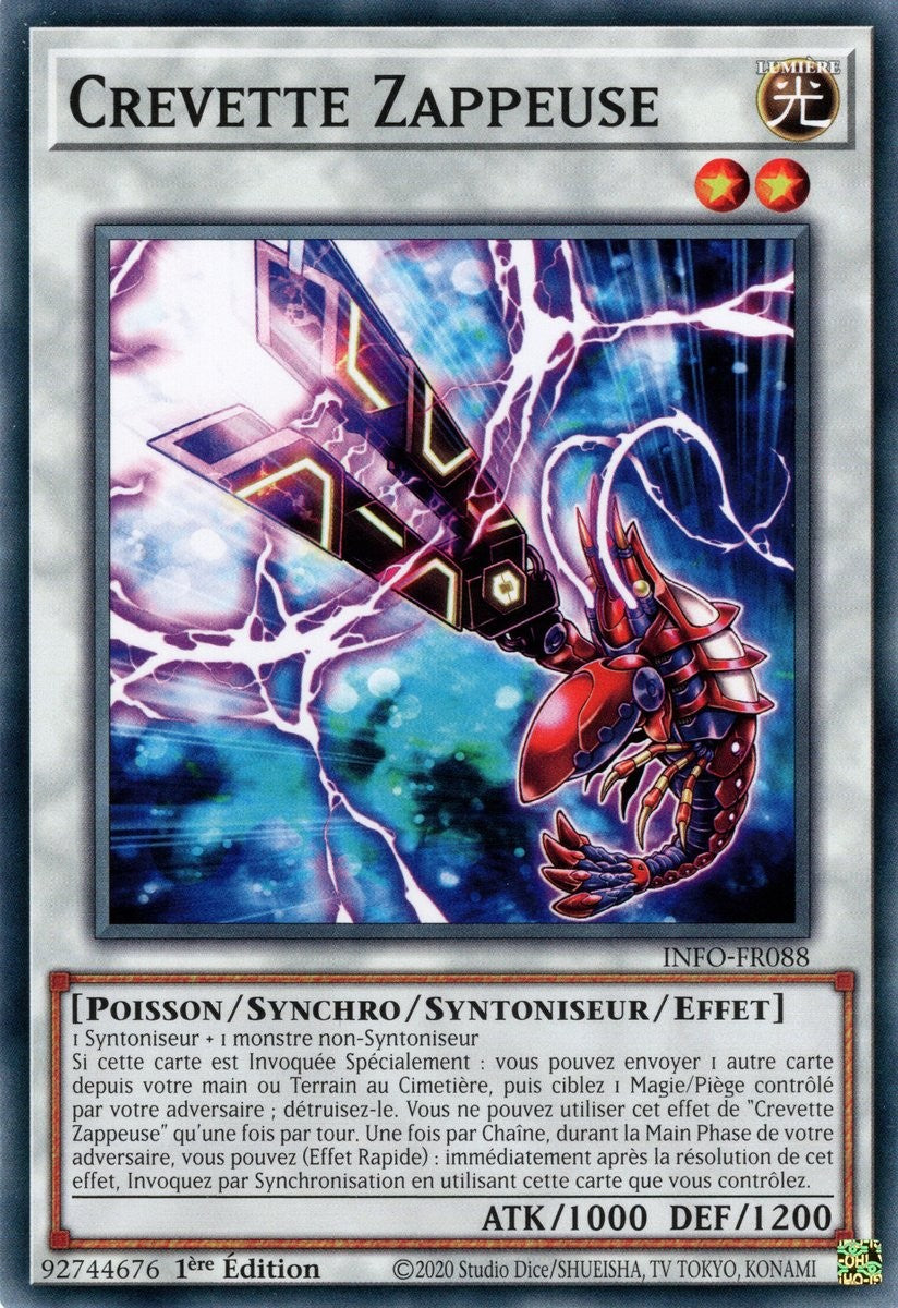 Crevette Zappeuse - INFO-FR088