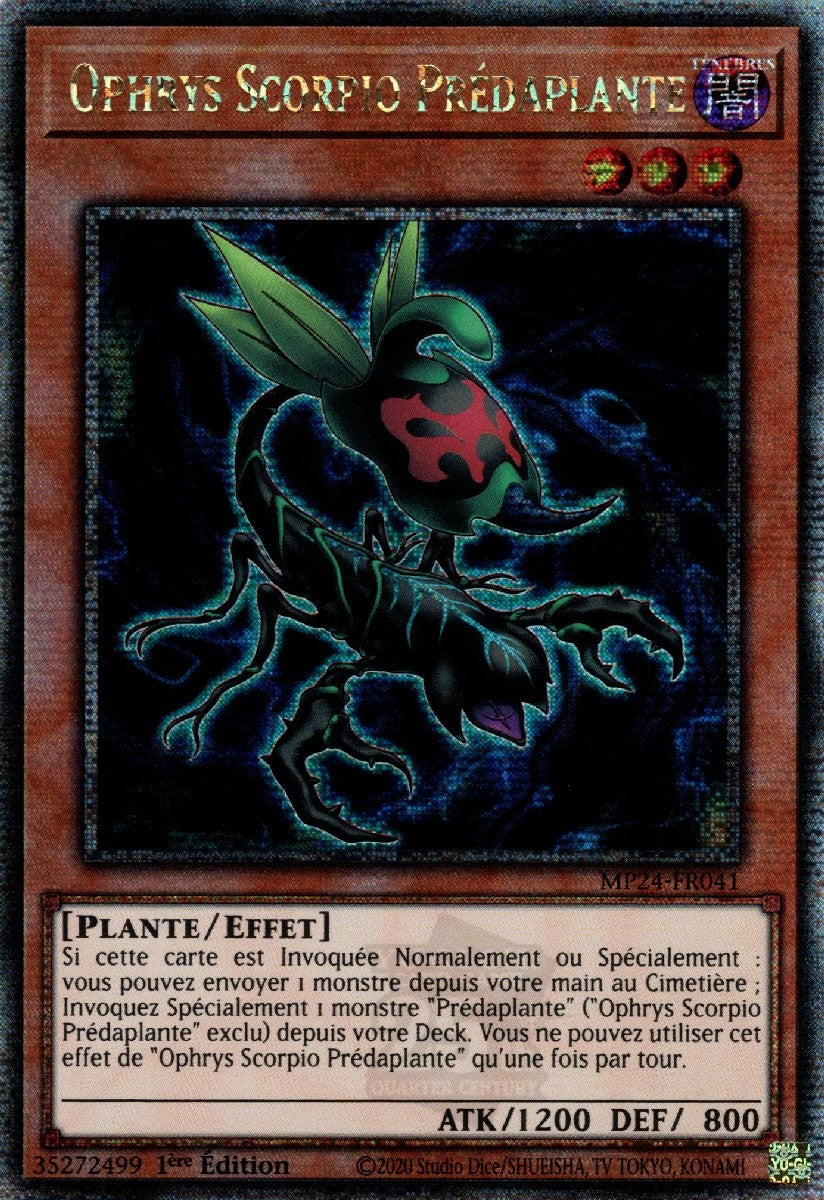 Ophrys Scorpio Prédaplante - MP24-FR041