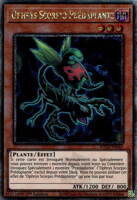 Ophrys Scorpio Prédaplante - MP24-FR041