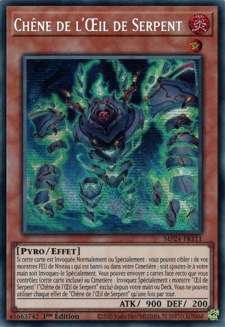 Chêne de l'Œil de Serpent - MP24-FR111