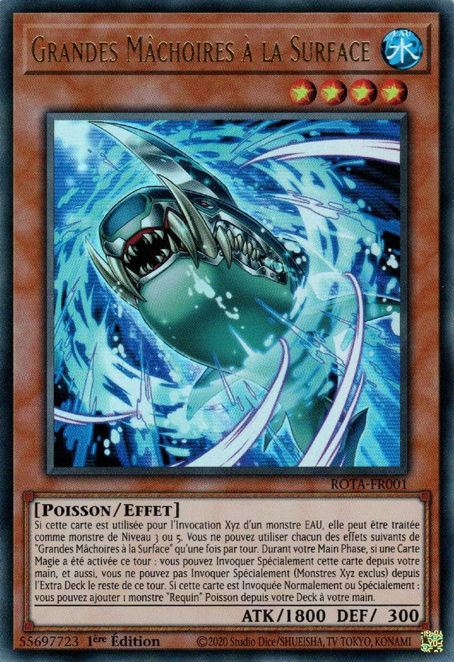 Grandes Mâchoires à la Surface - ROTA-FR001
