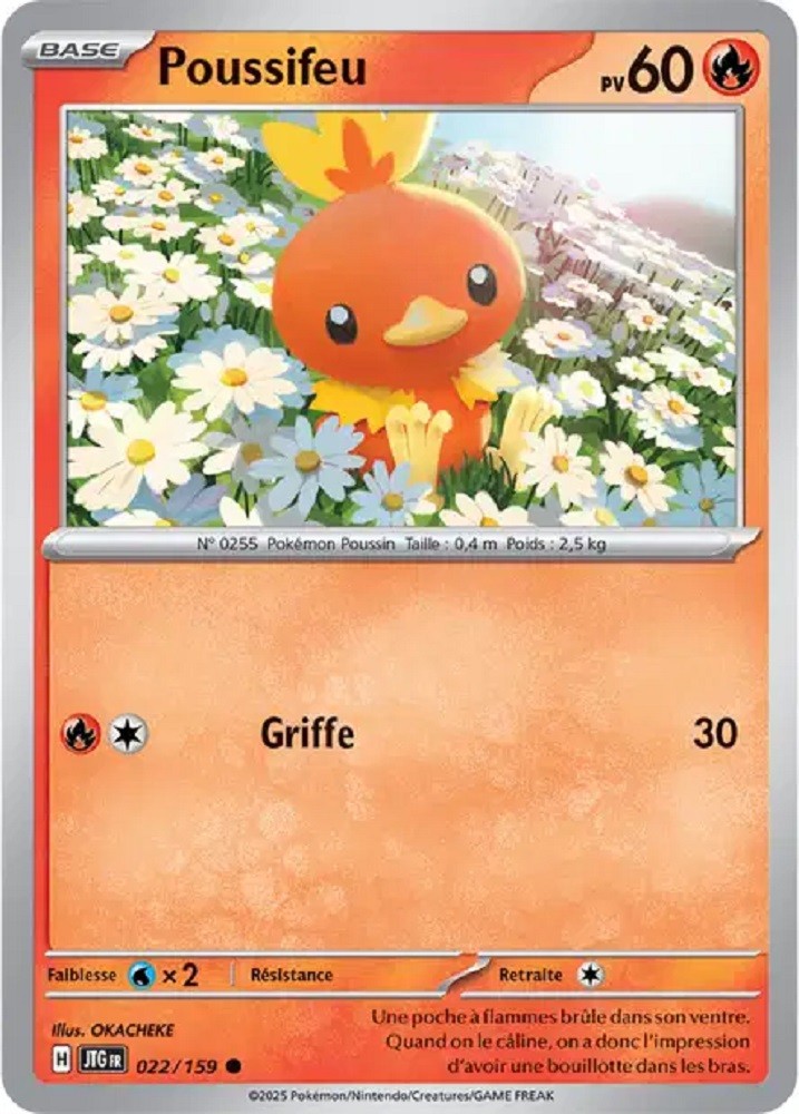 Pokémon - Poussifeu (JTG 022/159) - Aventures Ensemble