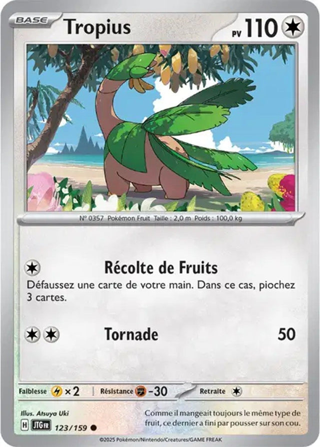 Pokémon - Tropius (JTG 123/159) - Aventures Ensemble