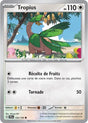 Pokémon - Tropius (JTG 123/159) - Aventures Ensemble