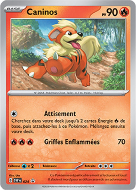 Caninos (SVP 024) - Promo Écarlate & Violet - Carte Pokémon