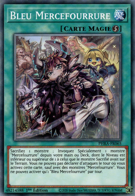 PHRA-FR065 Bleu Mercefourrure