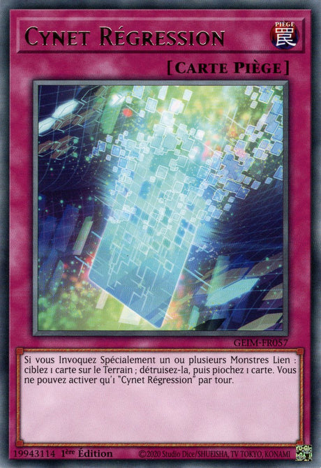 GEIM-FR057 Cynet Régression