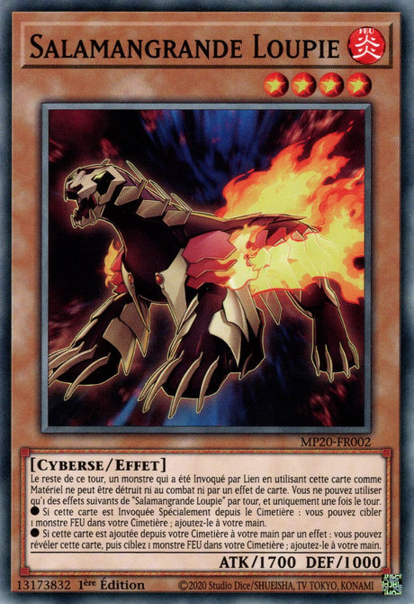 MP20-FR002 Salamangrande Loupie