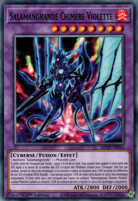 MP20-FR016 Salamangrande Chimère Violette