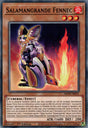 MP20-FR051 Salamangrande Fennec