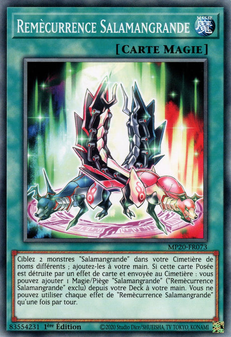 MP20-FR073 Remècurrence Salamangrande