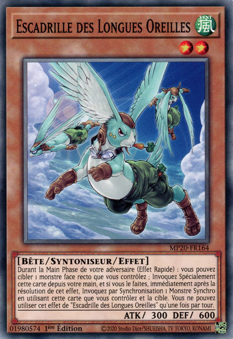 MP20-FR164 Escadrille des Longues Oreilles