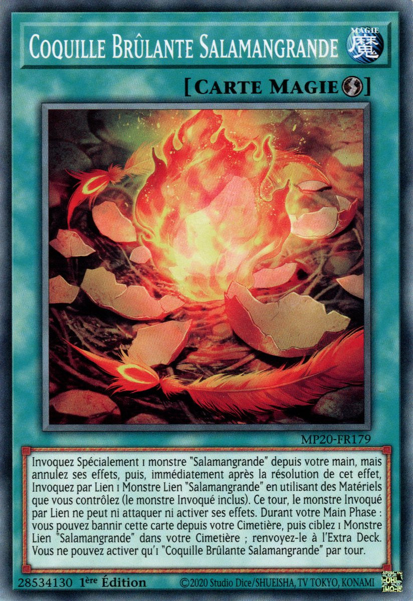 MP20-FR179 Coquille Brûlante Salamangrande