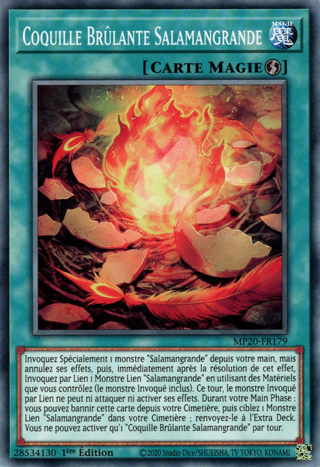 MP20-FR179 Coquille Brûlante Salamangrande
