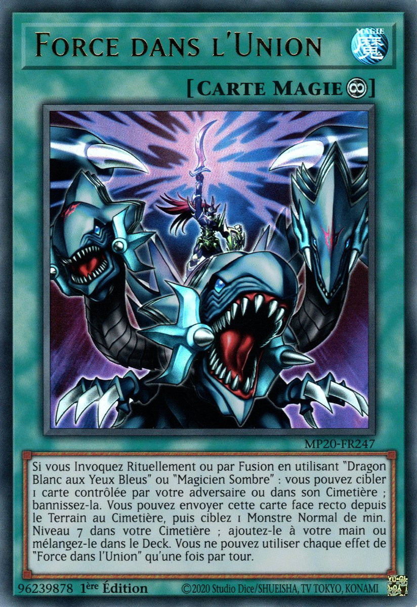 MP20-FR247 Force dans l'Union