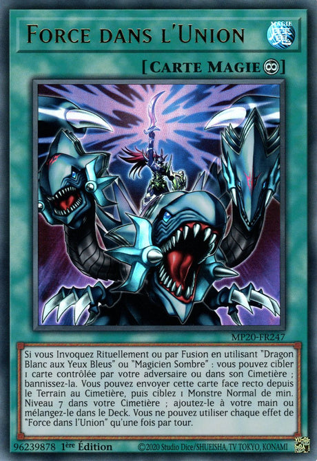 MP20-FR247 Force dans l'Union