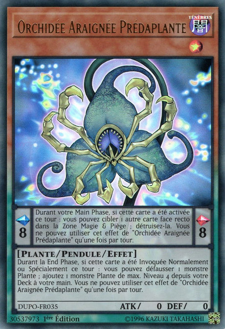 DUPO-FR035 Orchidée Araignée Prédaplante