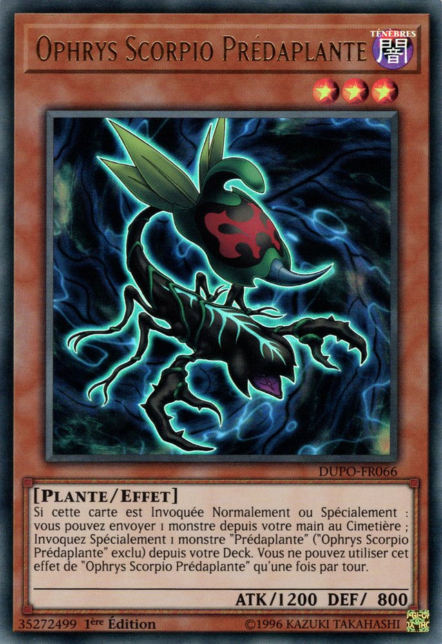DUPO-FR066 Ophrys Scorpio Prédaplante