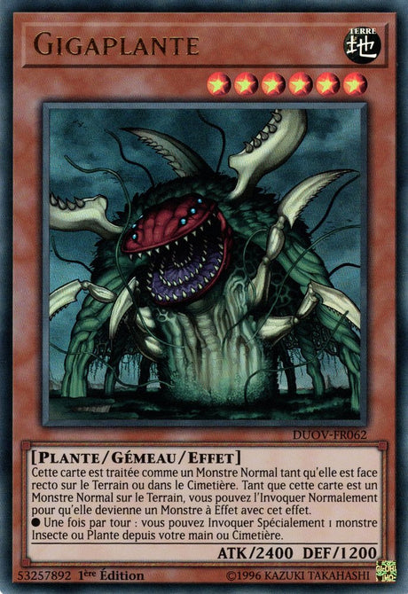 DUOV-FR062 Gigaplante