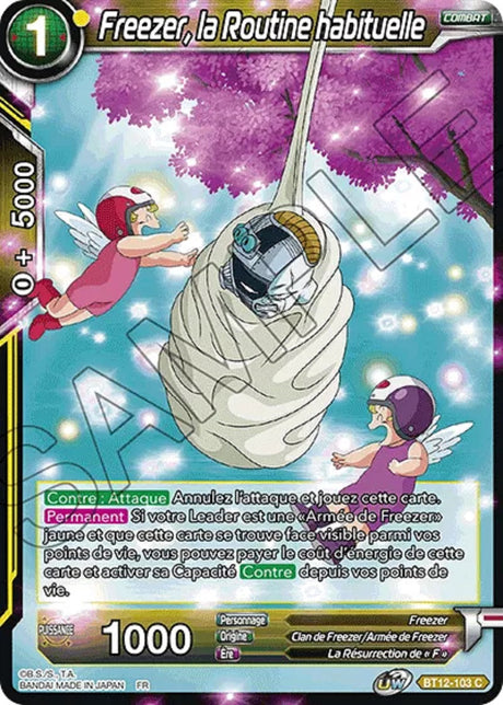 Freezer, la Routine habituelle : BT12-103 C