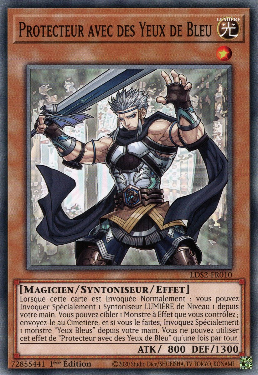 Protecteur avec des Yeux de Bleu : LDS2-FR010 C
