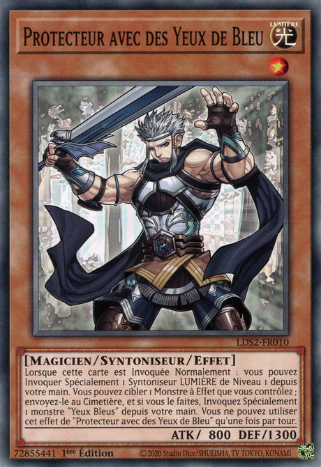 Protecteur avec des Yeux de Bleu : LDS2-FR010 C