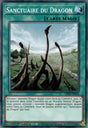 Sanctuaire du Dragon : LDS2-FR022 C