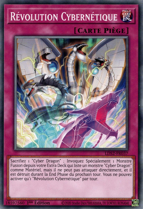 Révolution Cybernétique : LDS2-FR037 C