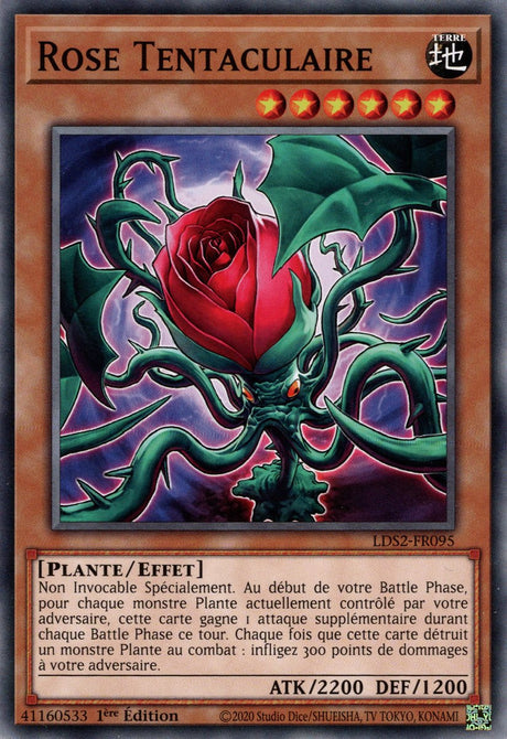 Rose Tentaculaire : LDS2-FR095 C