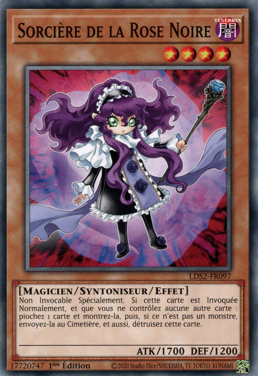 Sorcière de la Rose Noire : LDS2-FR097 C