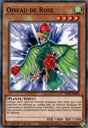 Oiseau de Rose : LDS2-FR099 C