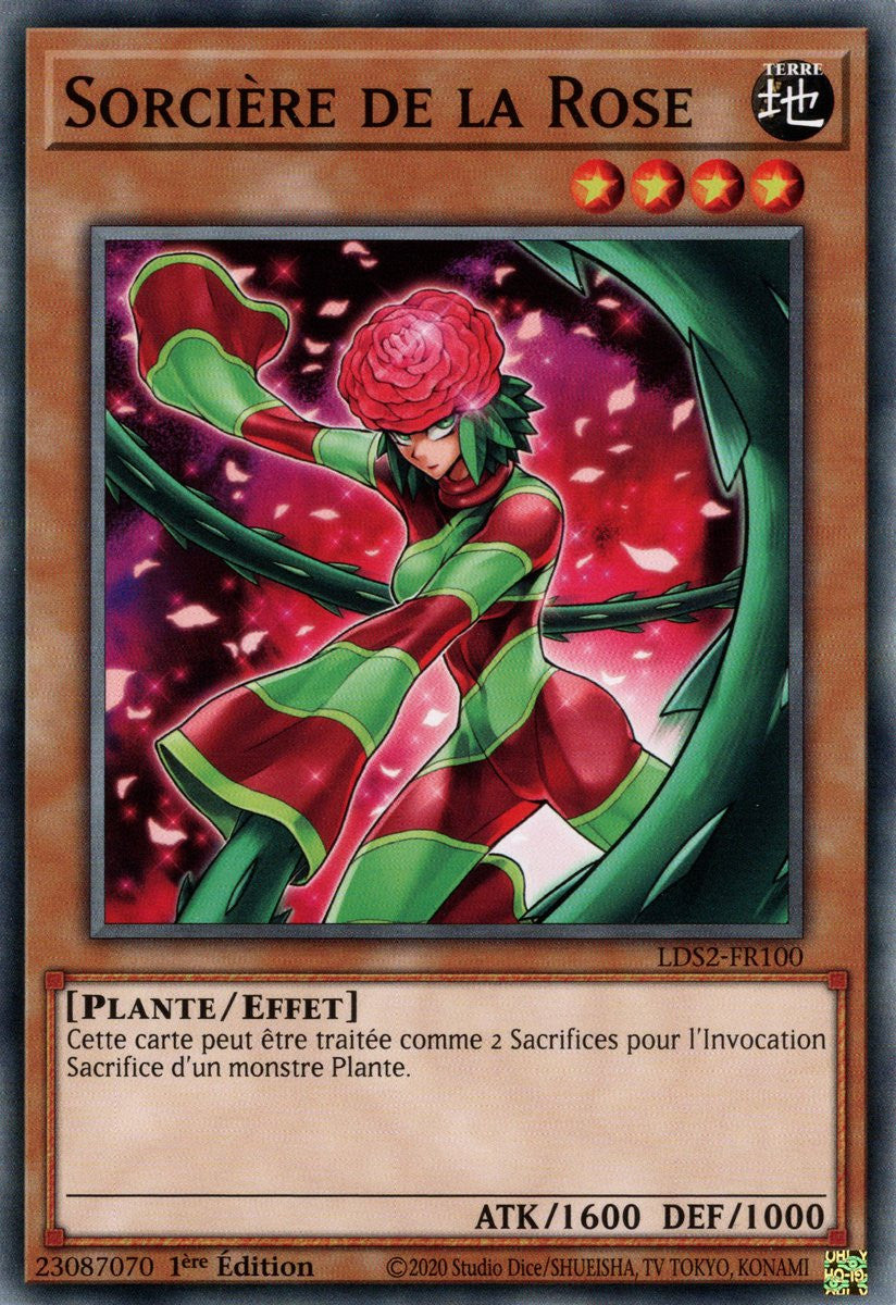 Sorcière de la Rose : LDS2-FR100 C