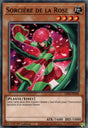 Sorcière de la Rose : LDS2-FR100 C