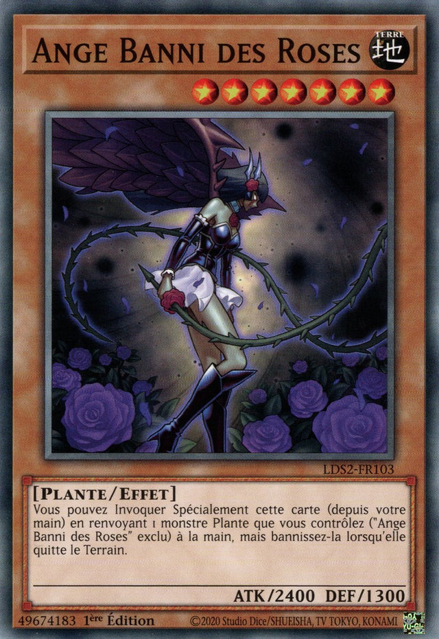 Ange Banni des Roses : LDS2-FR103 C