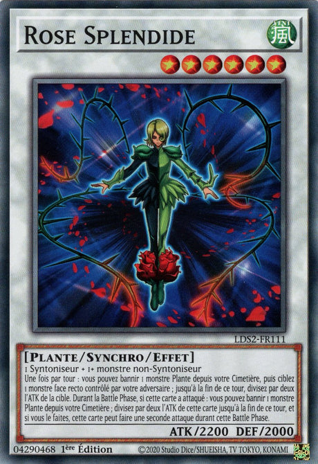 Rose Splendide : LDS2-FR111 C