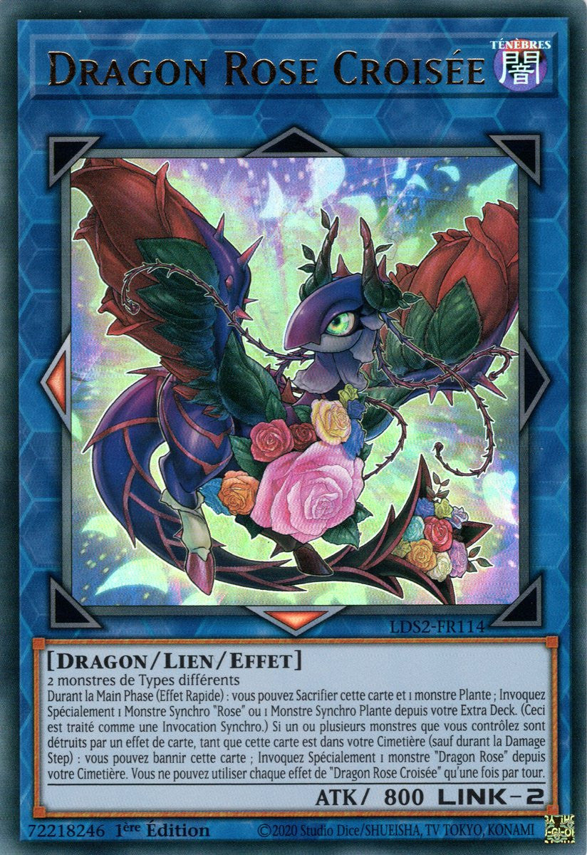 Dragon Rose Croisée : LDS2-FR114 UR (Doré)