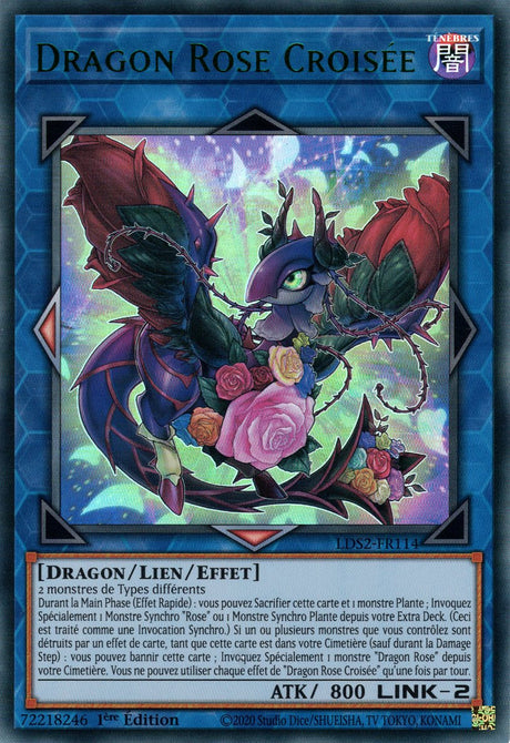 Dragon Rose Croisée : LDS2-FR114 UR (Vert)