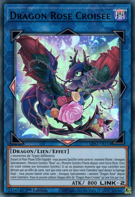 Dragon Rose Croisée : LDS2-FR114 UR (Violet)