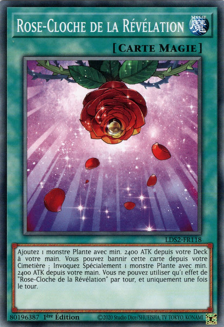 Rose-Cloche de la Révélation : LDS2-FR118 C
