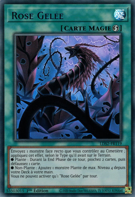 Rose Gelée : LDS2-FR119 UR (Bleu)