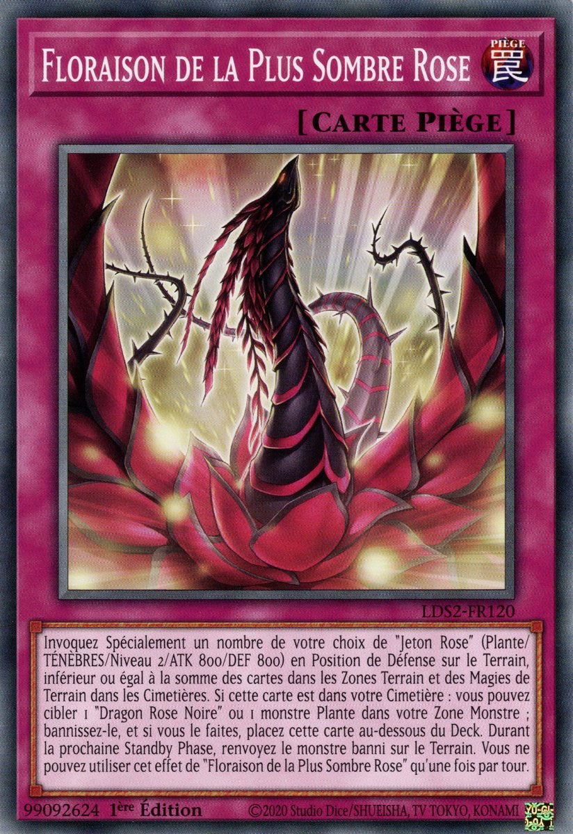 Floraison de la Plus Sombre Rose : LDS2-FR120 C