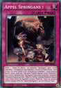 Appel Springans ! : BLVO-FR068 C