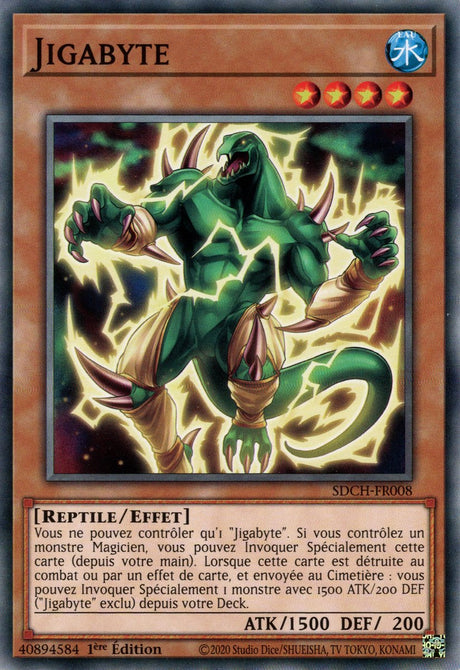 Jigabyte : SDCH-FR008 C