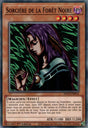 Sorcière de la Forêt Noire : SDCH-FR016 C